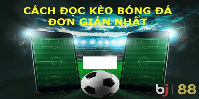 Cách đọc kèo bóng đá cực đơn giản cho người mới khởi đầu